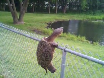 Why Bother: An&nbsp;Introduction